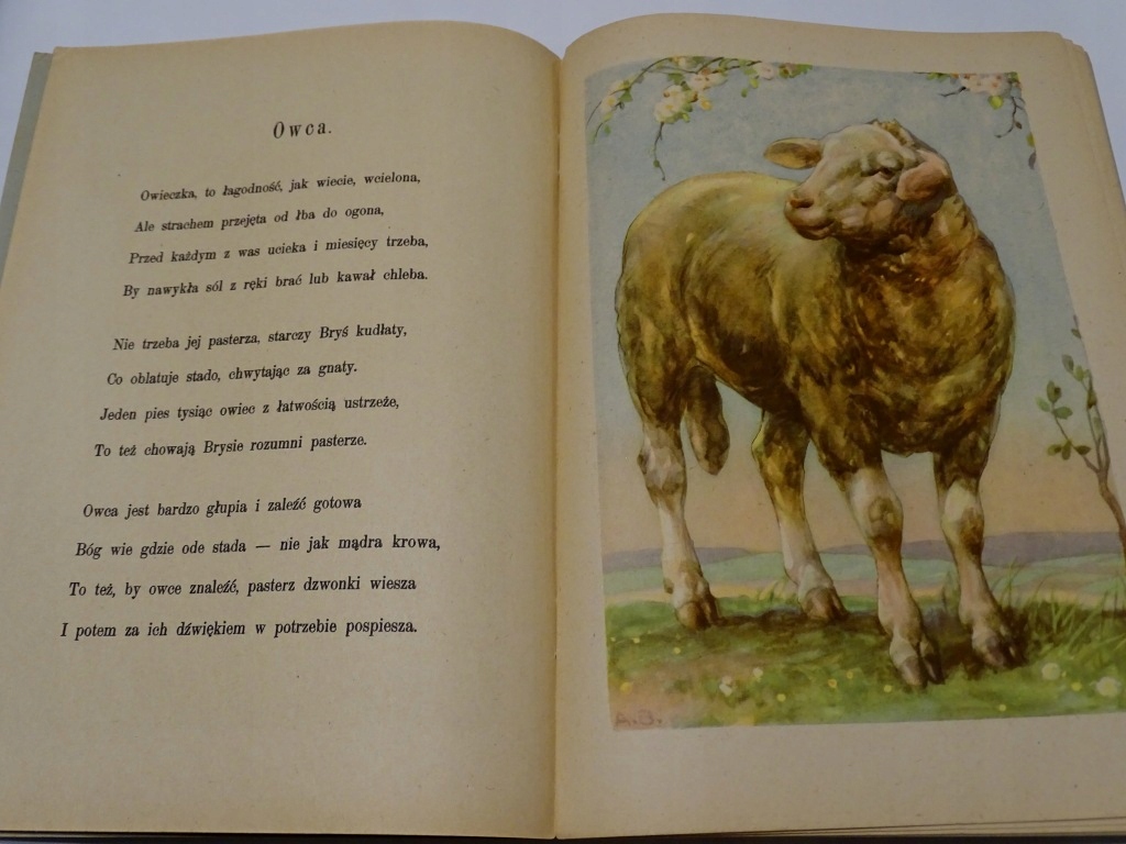 PRZYJACIELE JÓZEF BIRKENMAJER WEGNER Język publikacji polski