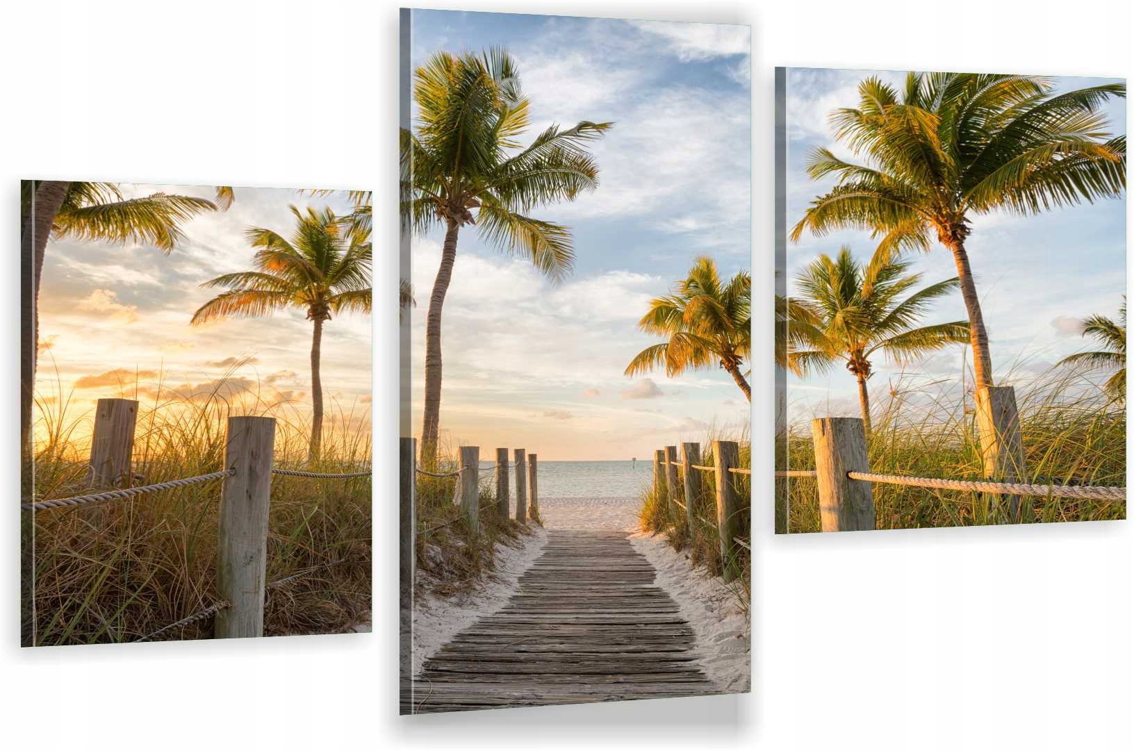 

Tryptyki Obraz Na Ścianę Miami Palmy Plaża 980 Wz