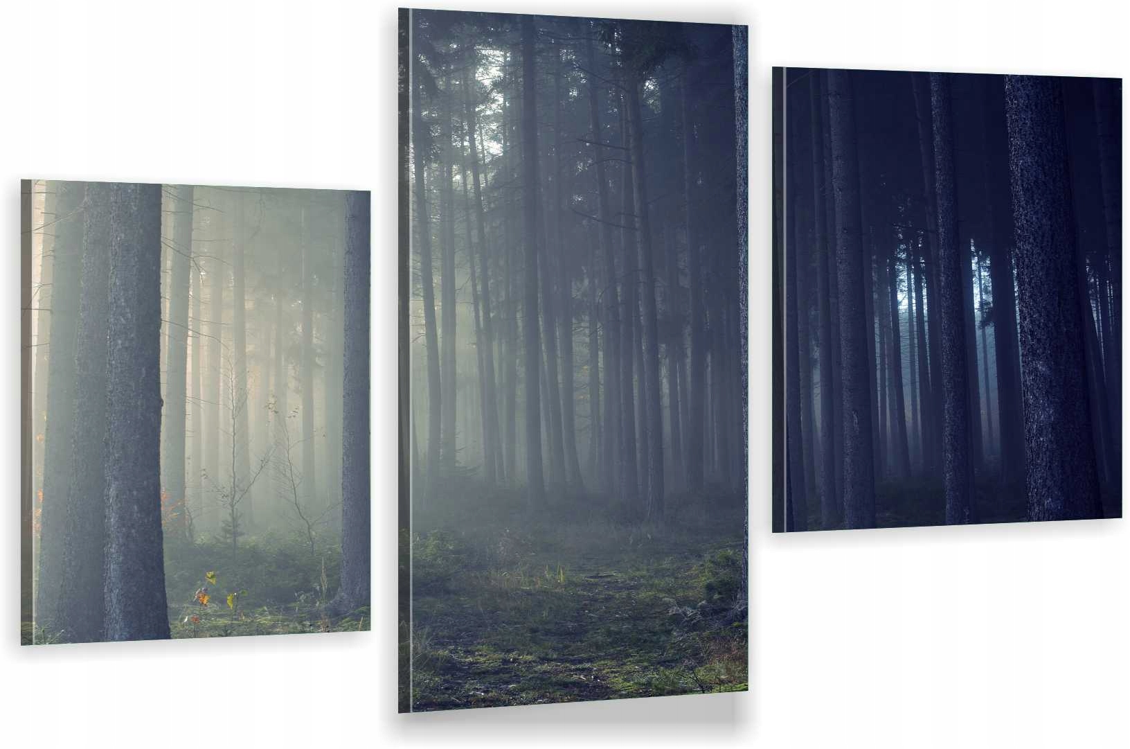 

Tryptyki Obraz Na Ścianę Las Mgła Natura 980WZORÓW