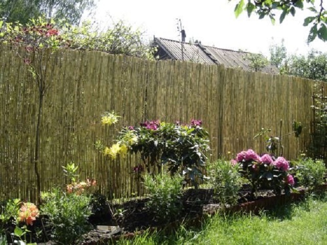 MATA BAMBUSOWA 1,8 x 5m OSŁONOWA PŁOT BALKON GĘSTA Długość 500 cm