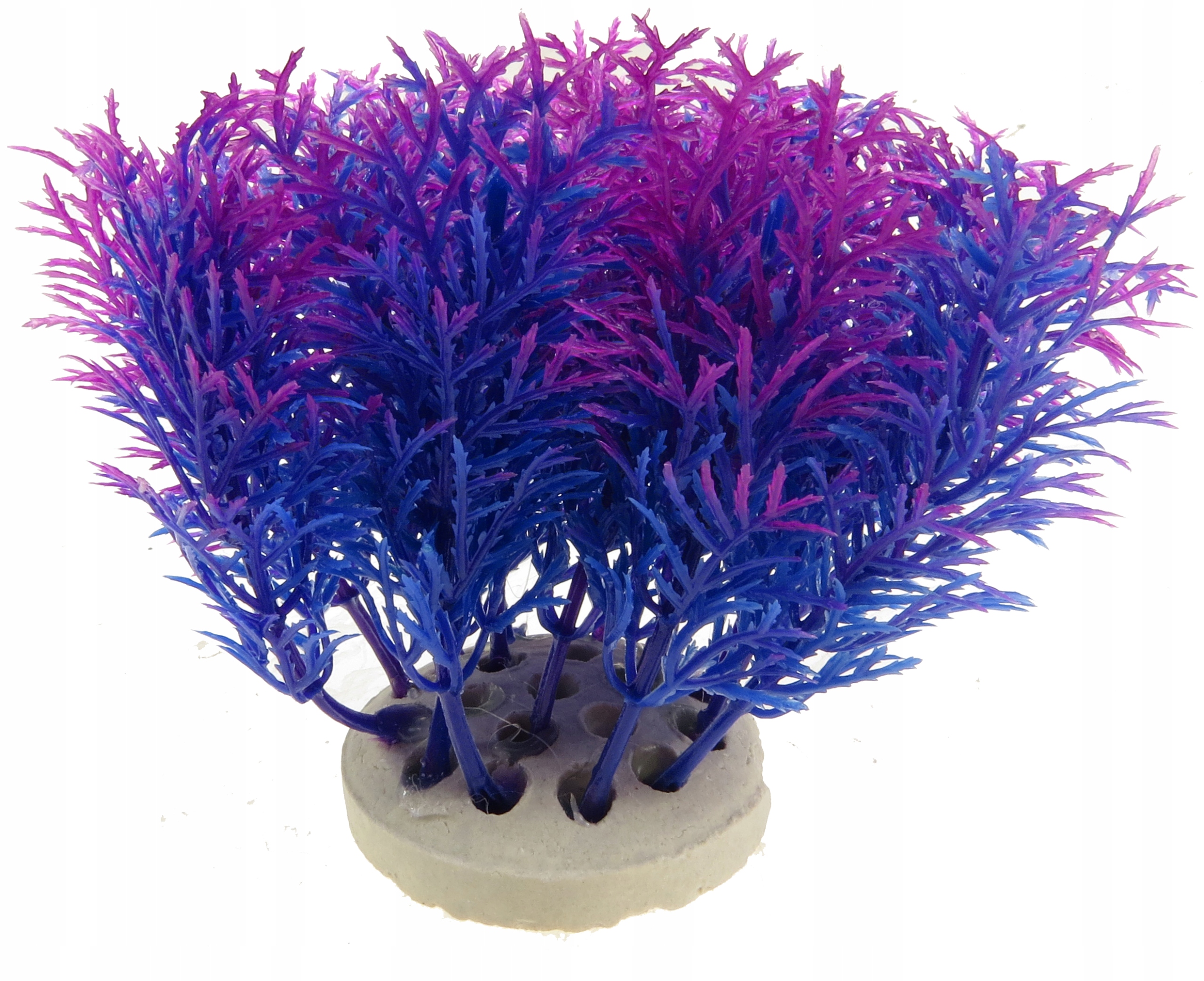 

Roślinka Sztuczna Do Akwarium 10cm Dekoracja 1f04