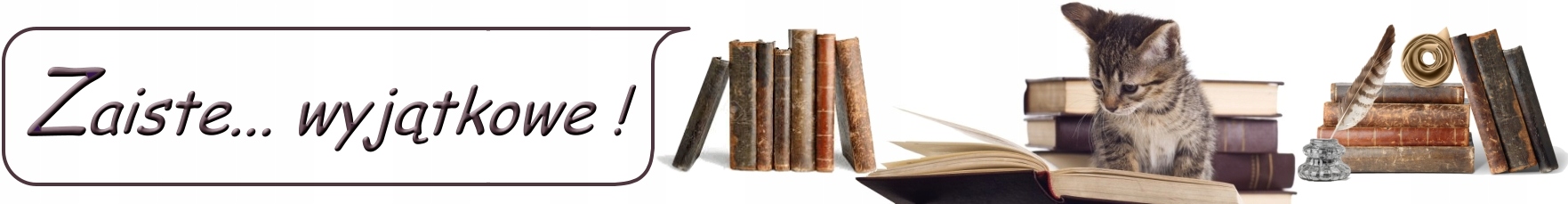 Tarot CHRYSALIS - karty do tarota + książeczka Rodzaj poradniki i albumy