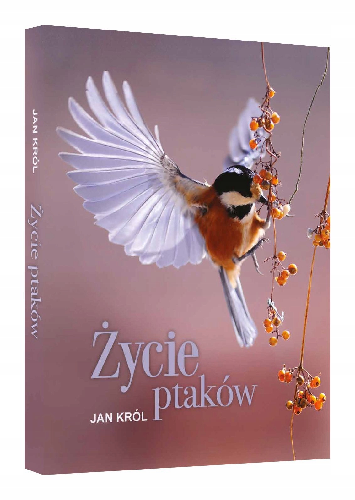 

Życie Ptaków Album 448 stron Twarda Sbm Jan Król