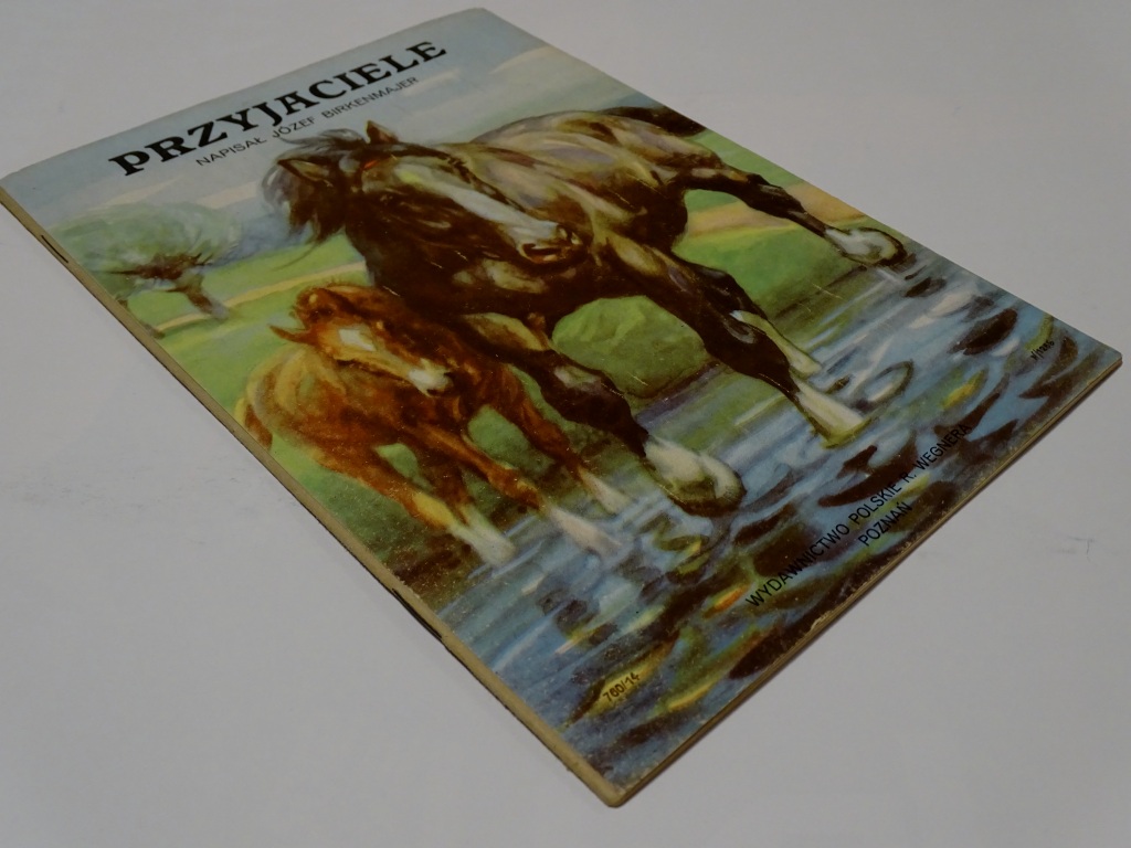 PRZYJACIELE JÓZEF BIRKENMAJER WEGNER Wydawnictwo inne