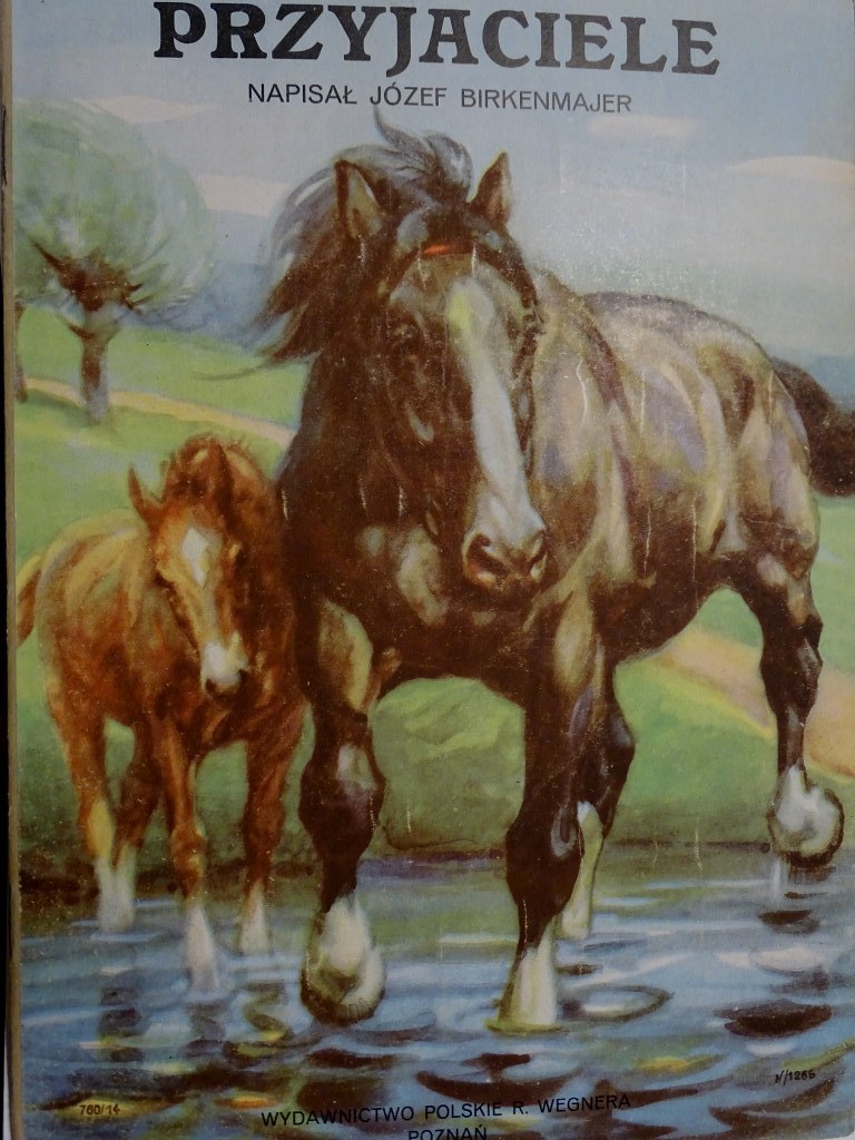 PRZYJACIELE JÓZEF BIRKENMAJER WEGNER