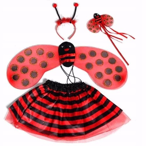 

Biedronka Zestaw 4 części Strój kostium 3-10L