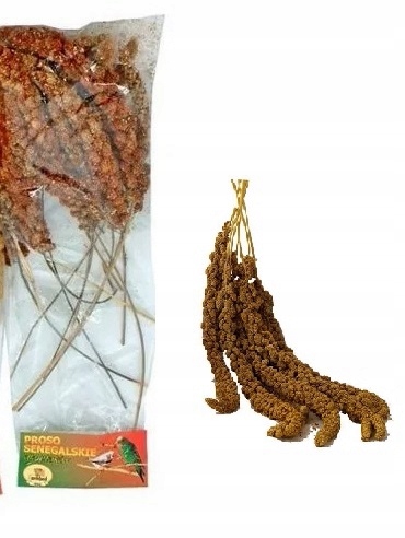 Proso senegalskie czerwone 100 g Karmbed