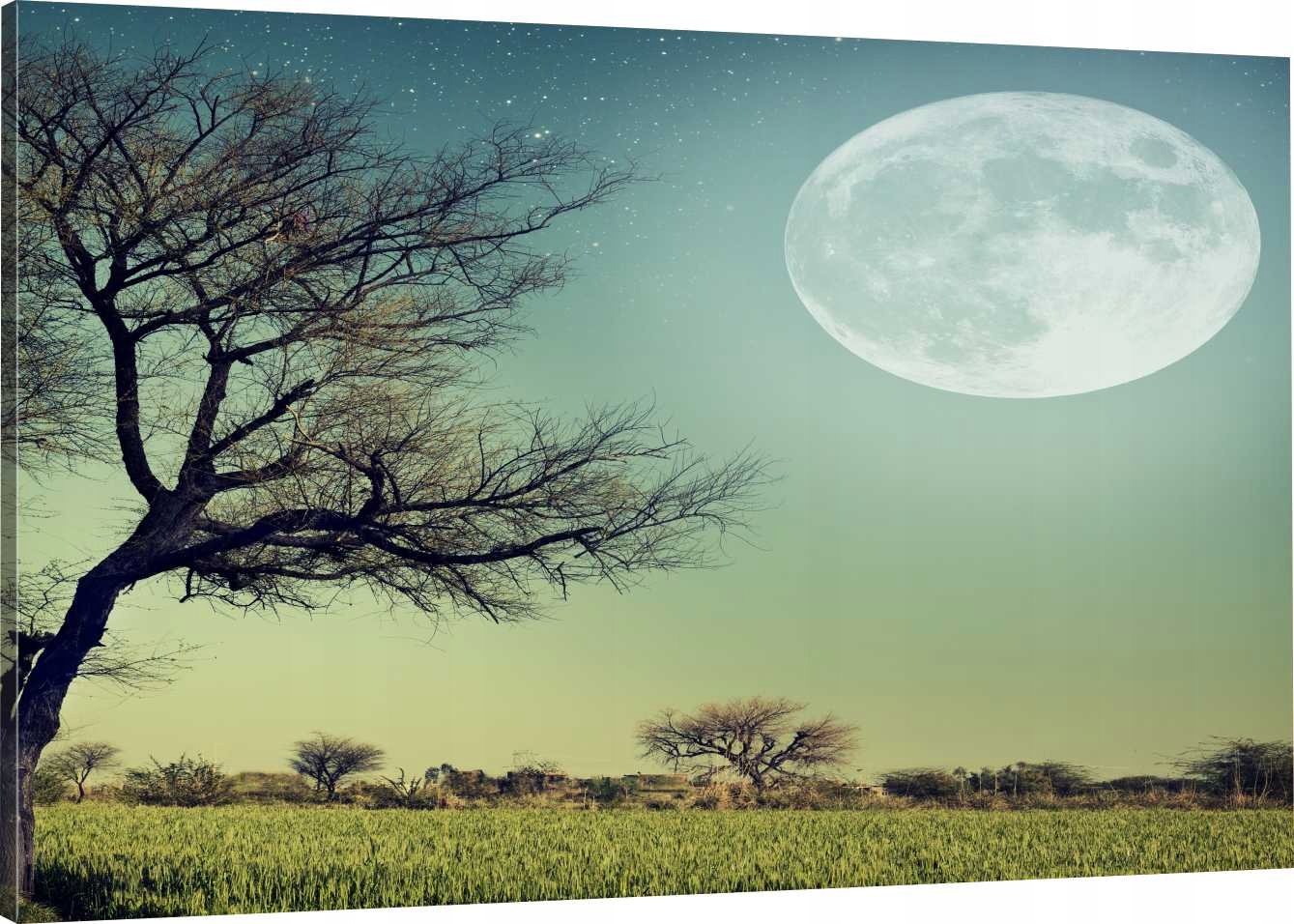 

Obraz Na Płótnie Księżyc Drzewo 100x70 800 Wzorów