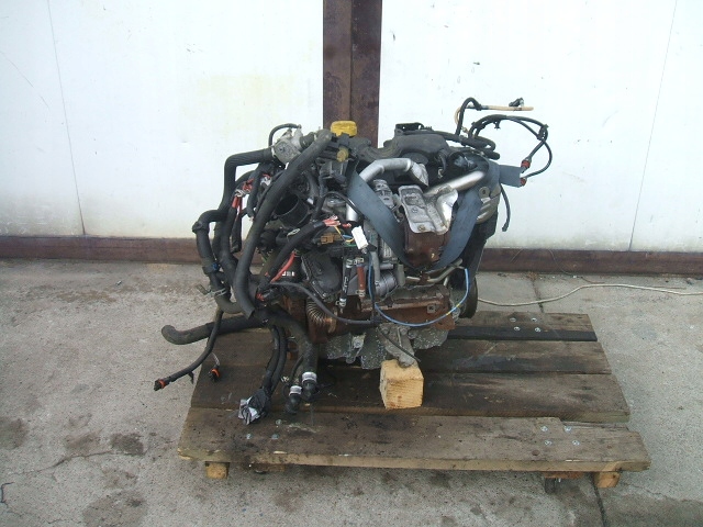 MERCEDES CITAN RENAULT KANGOO 1.5dci SILNIK K9KB60 Numer katalogowy części K9KB60