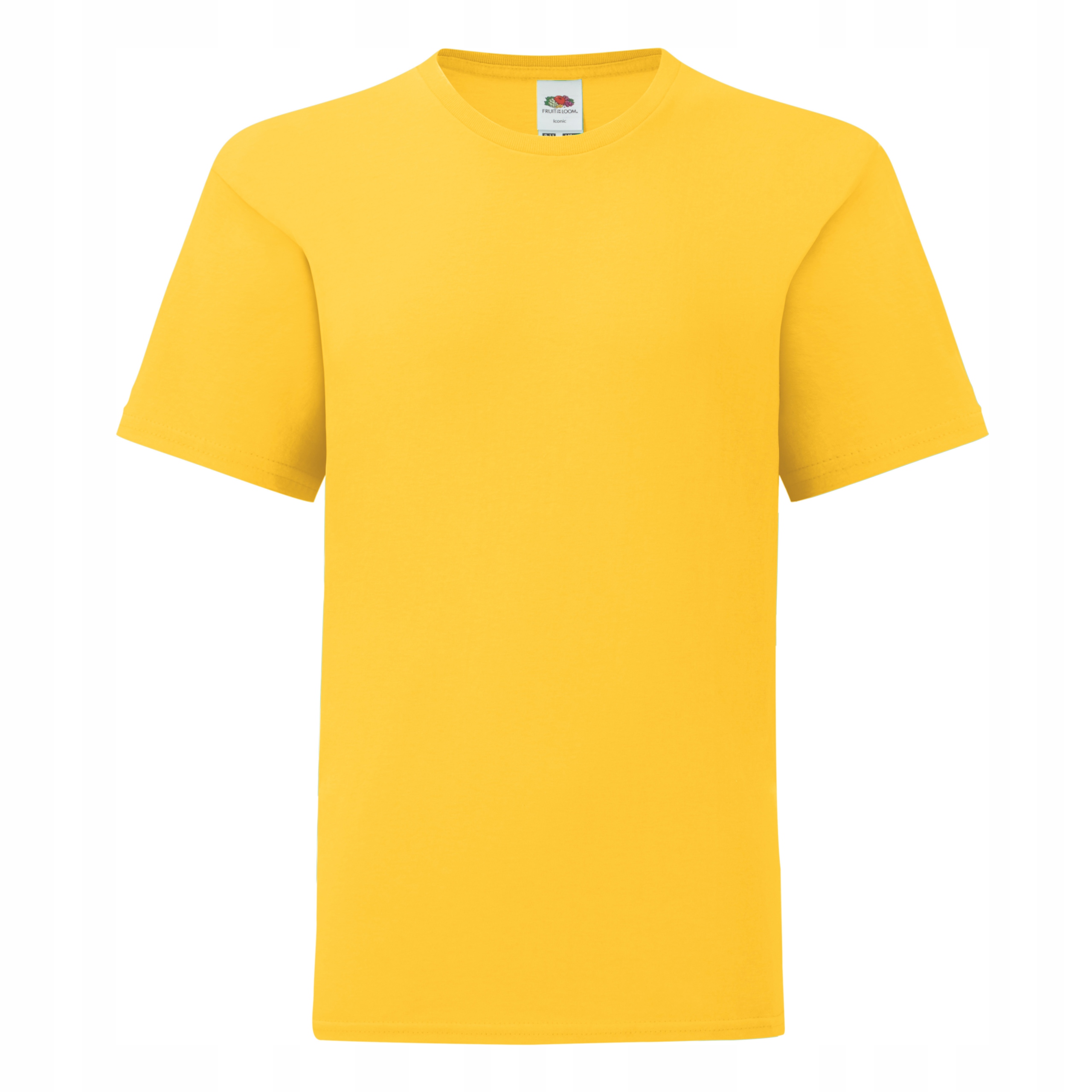 

Dziecięca Koszulka t-shirt Iconic Fruit sunfl. 104