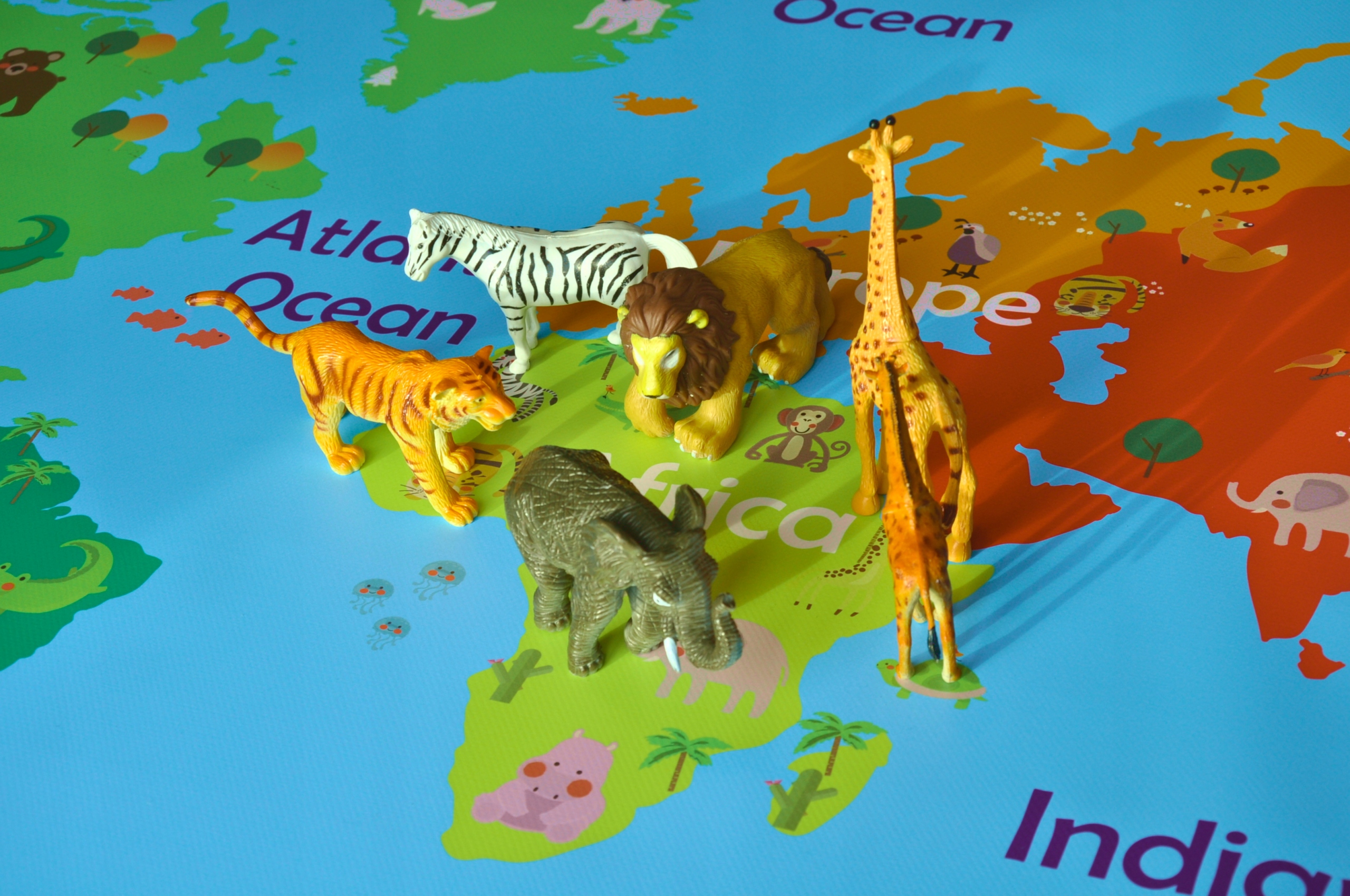 Duża mapa kontynenty MONTESSORI po angielsku