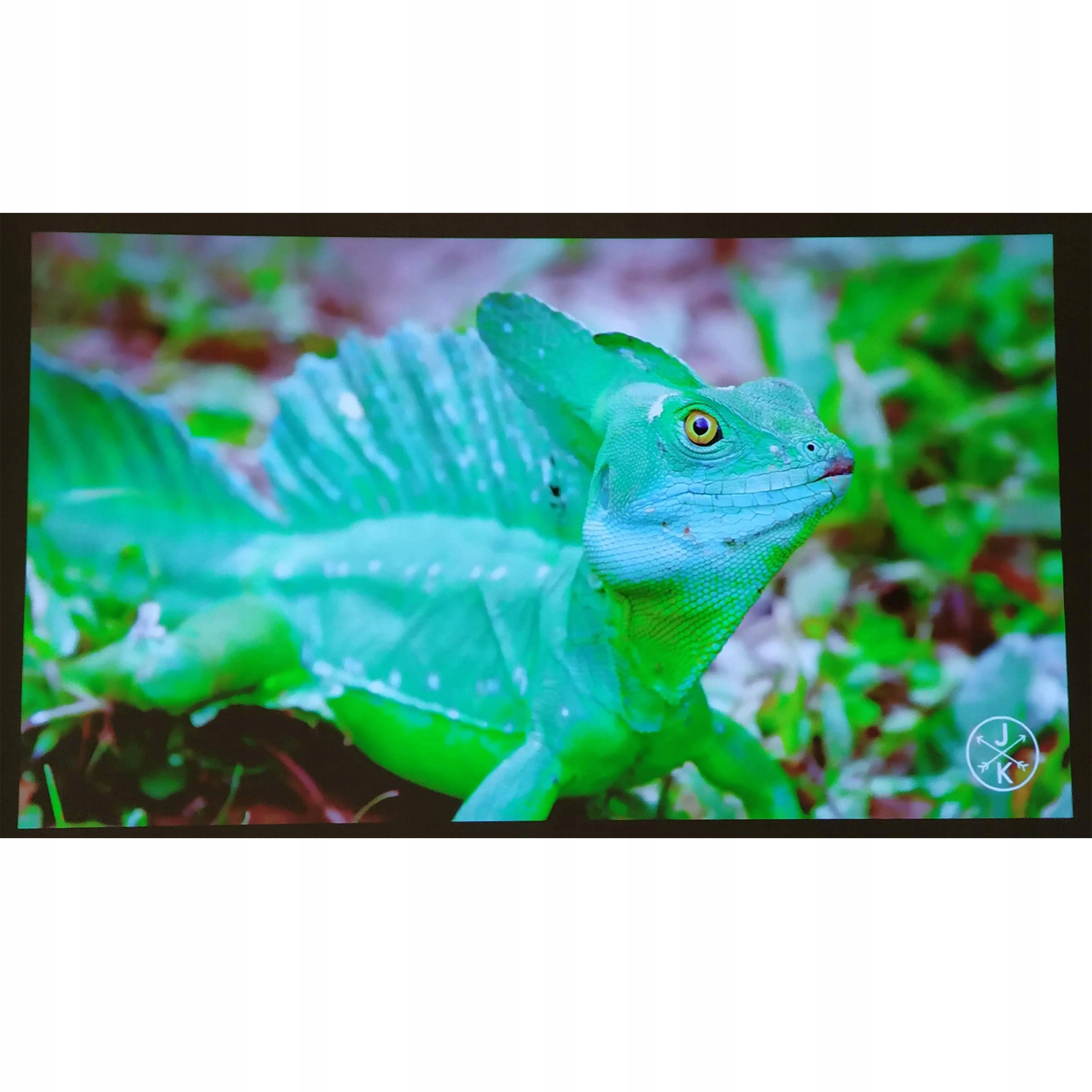 PROJEKTOR ANDROID AUTO FOCUS ZOOM LED DLP 4K 3D PL Rozdzielczość podstawowa (px) 1280 x 800