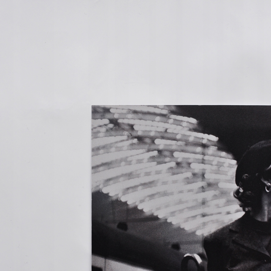 Plakat, rycina - Liść laurowy 40x30 kwiaty poster Rodzaj bez ramy