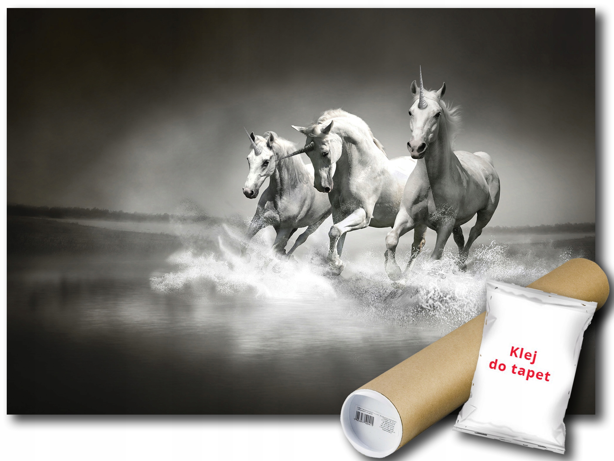 Fototapeta Jednorožec Galop 12B V8 368x254 F428