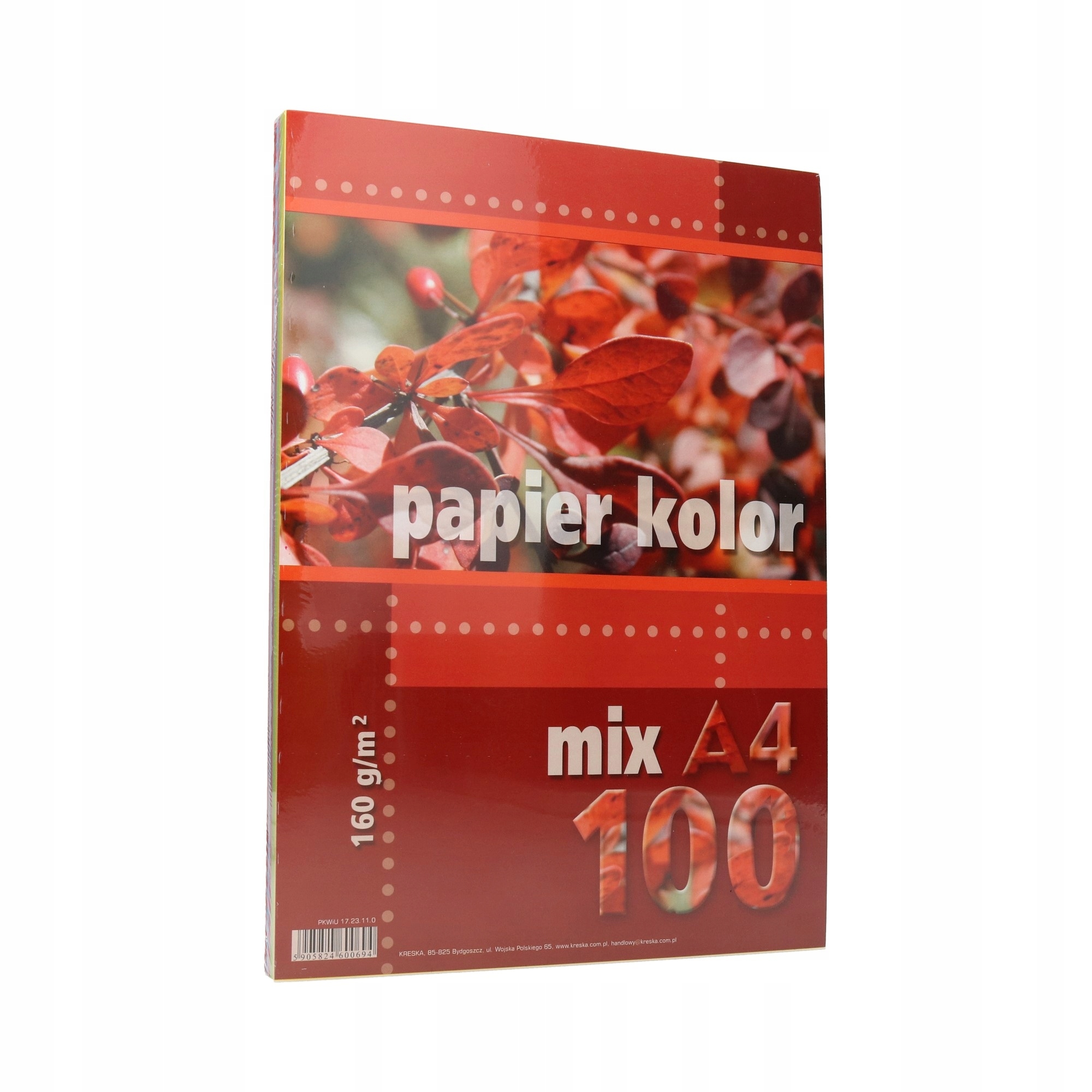 

Papier intensywne mix A4 160g 100 ark