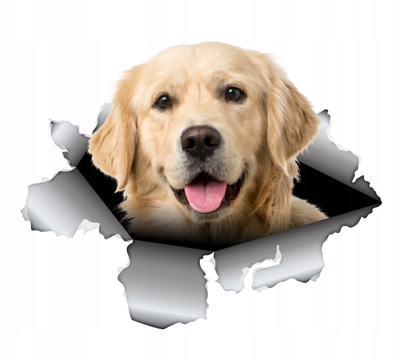 

Naklejki wlepy Pies W Aucie 3d różne rasy 25cm