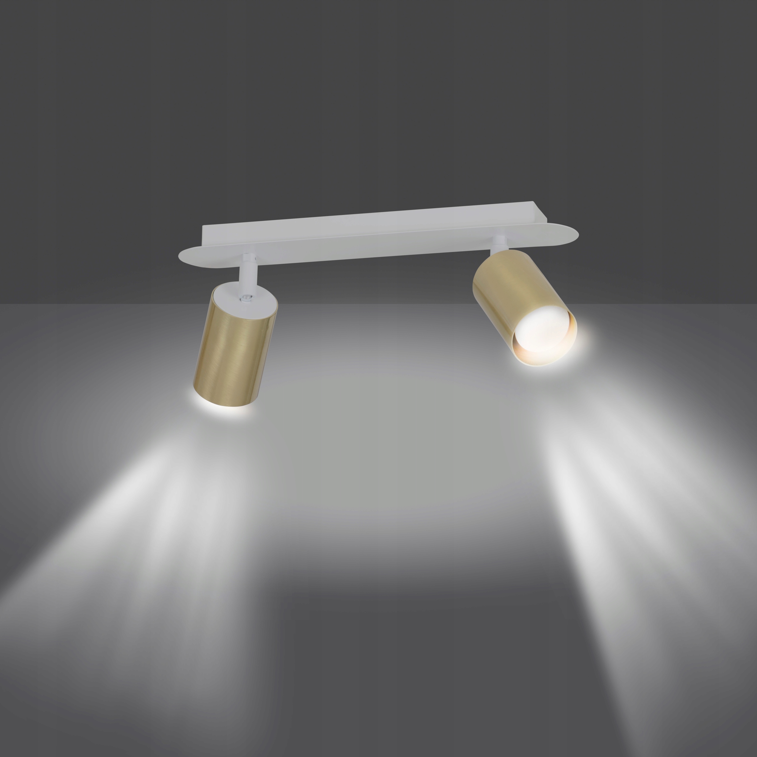 LAMPA SUFITOWA SPOT PLAFON REGULOWANA ZEN LED Liczba punktów światła 2