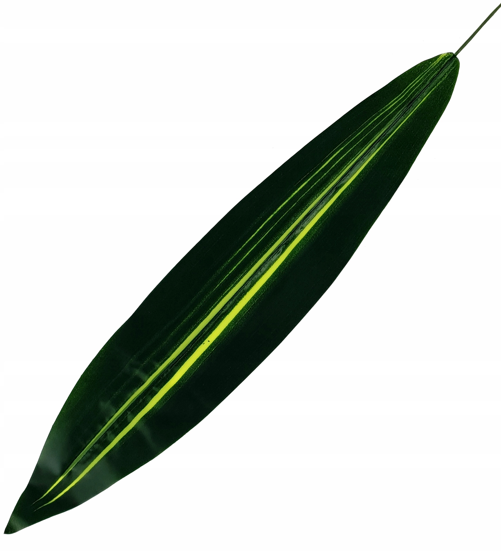 LIŚĆ DRACENY GUMOWY 62 cm LIŚCIE SZTUCZNE KWIATY