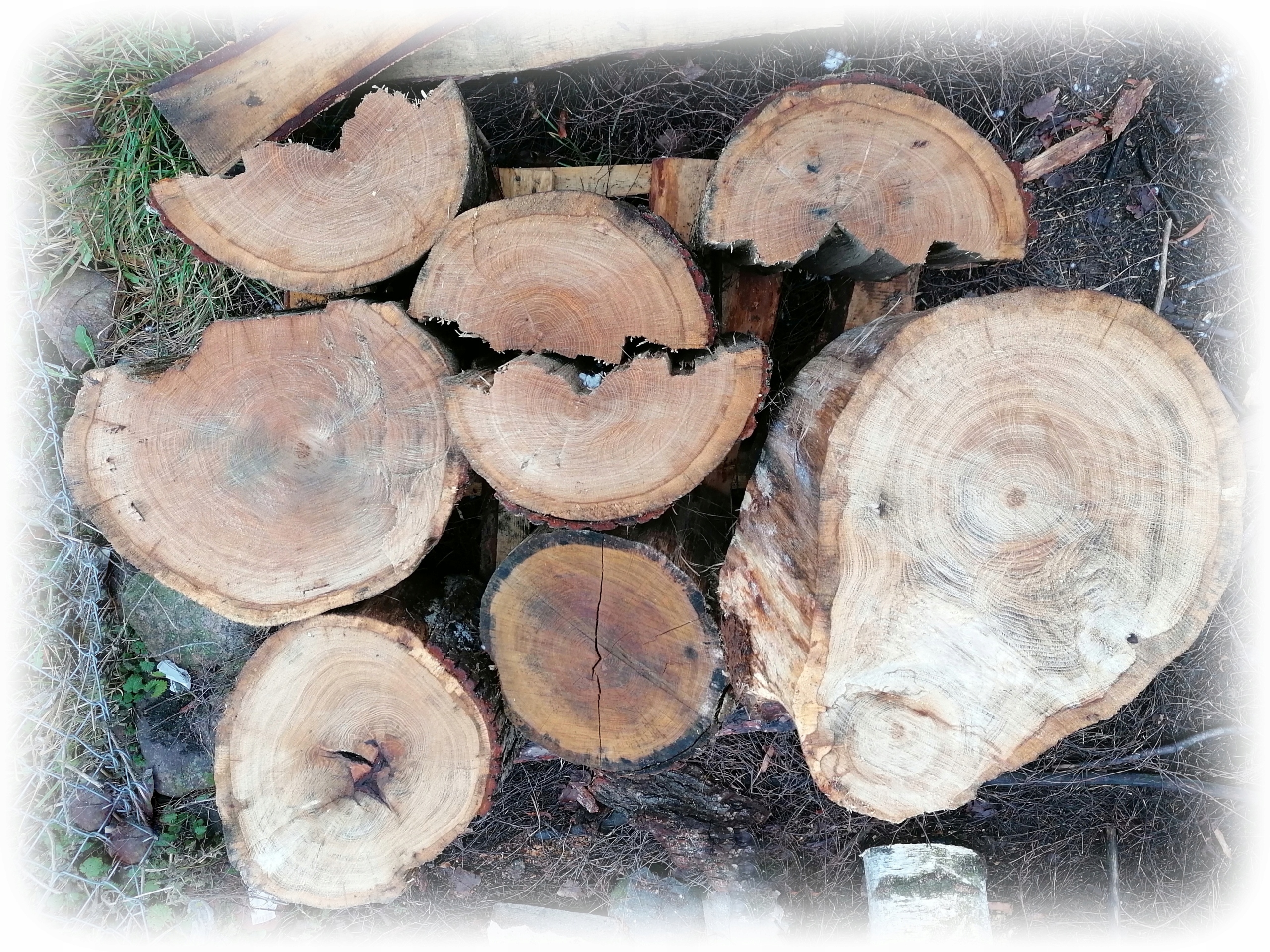 DREWNO KOMINKOWE buk dąb wiąz olcha brzoza 12 kg Waga produktu z opakowaniem jednostkowym 12.5 kg