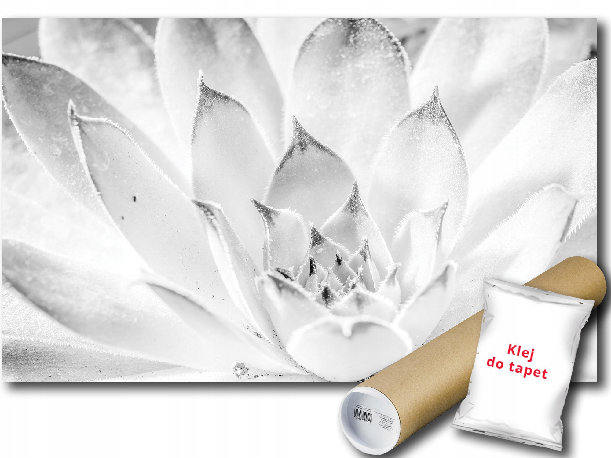 Fototapeta Exotický Květ 9E V8 368x254 F3118