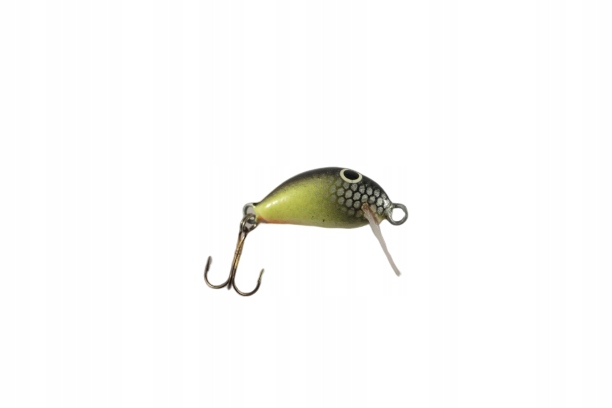 Woblery Gębale "assan" 2,5cm Teeny W0118