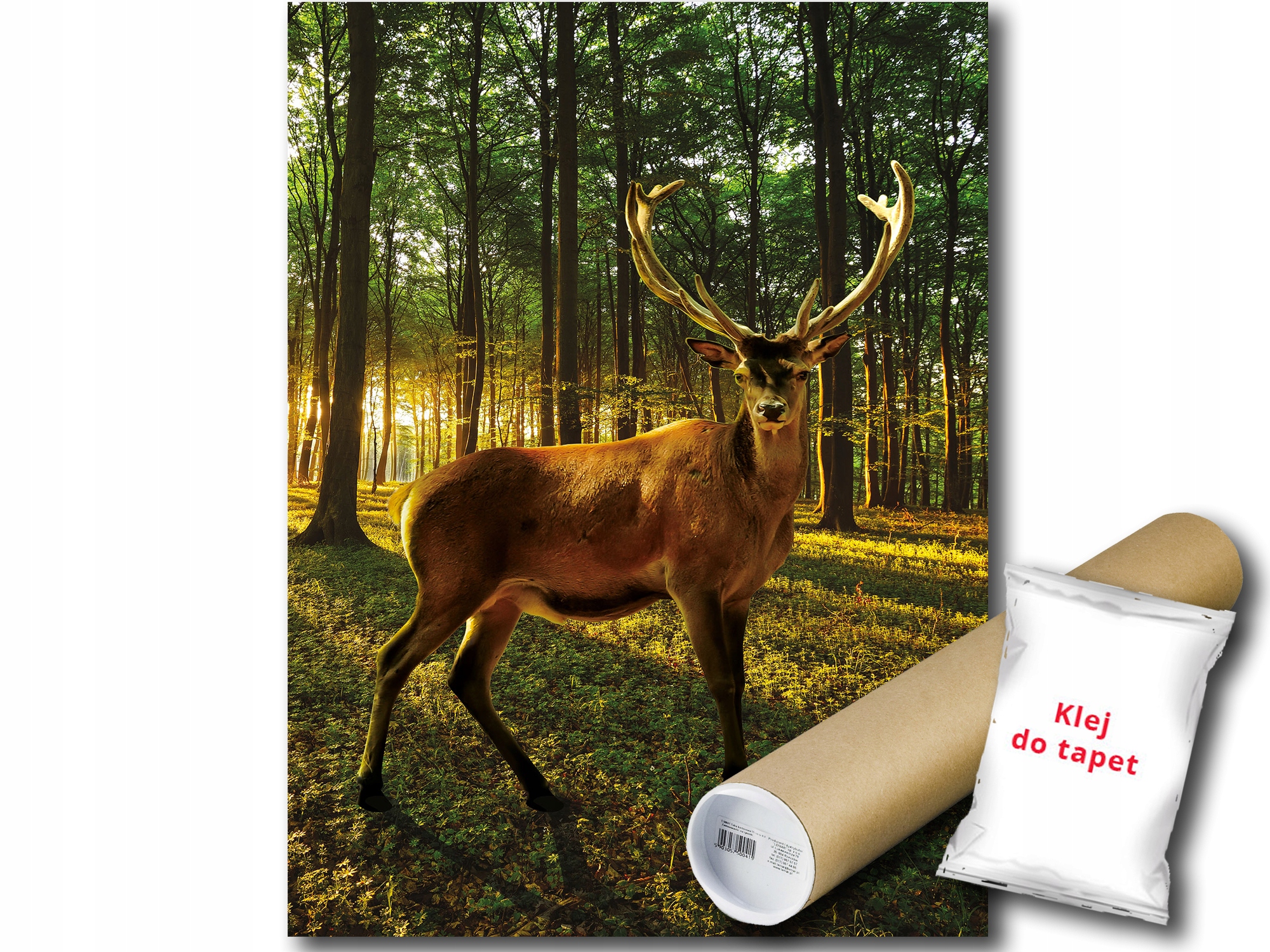 Fototapeta Les Jelen 19A Panxl 206x275 F3194