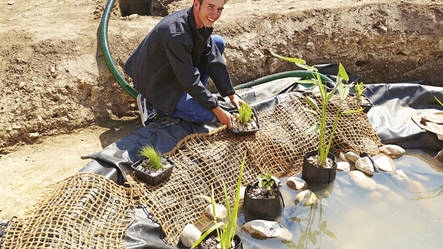 OASE KOSZ KOSZE DO ROŚLIN WODNYCH KWADRAT 23 CM Kod producenta 52633