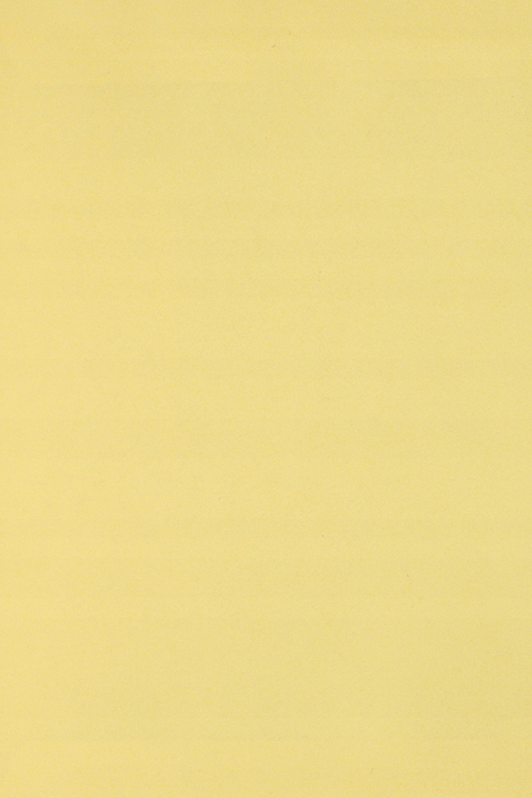 

Papier kolorowy jasny żółty Burano 250g 20 ark A4