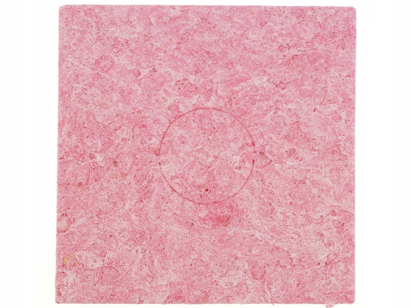 

Gruba gąbka 6 x 6 x 1,4 cm do czyszczenia grotów