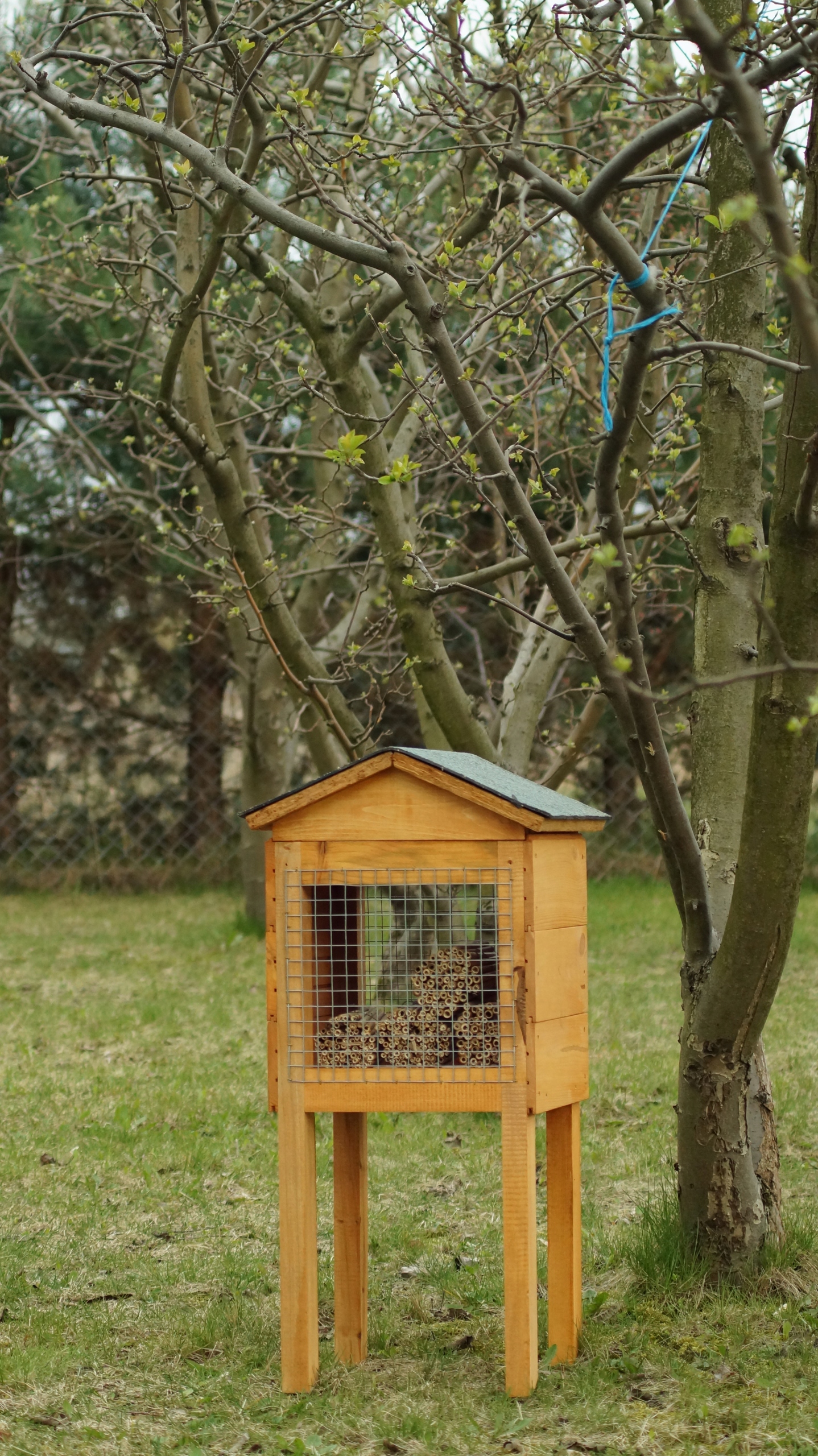 Ul murarka ogrodowa rurki trzcinowe ozdoba ogrodu Powierzchnia 0.3 m²