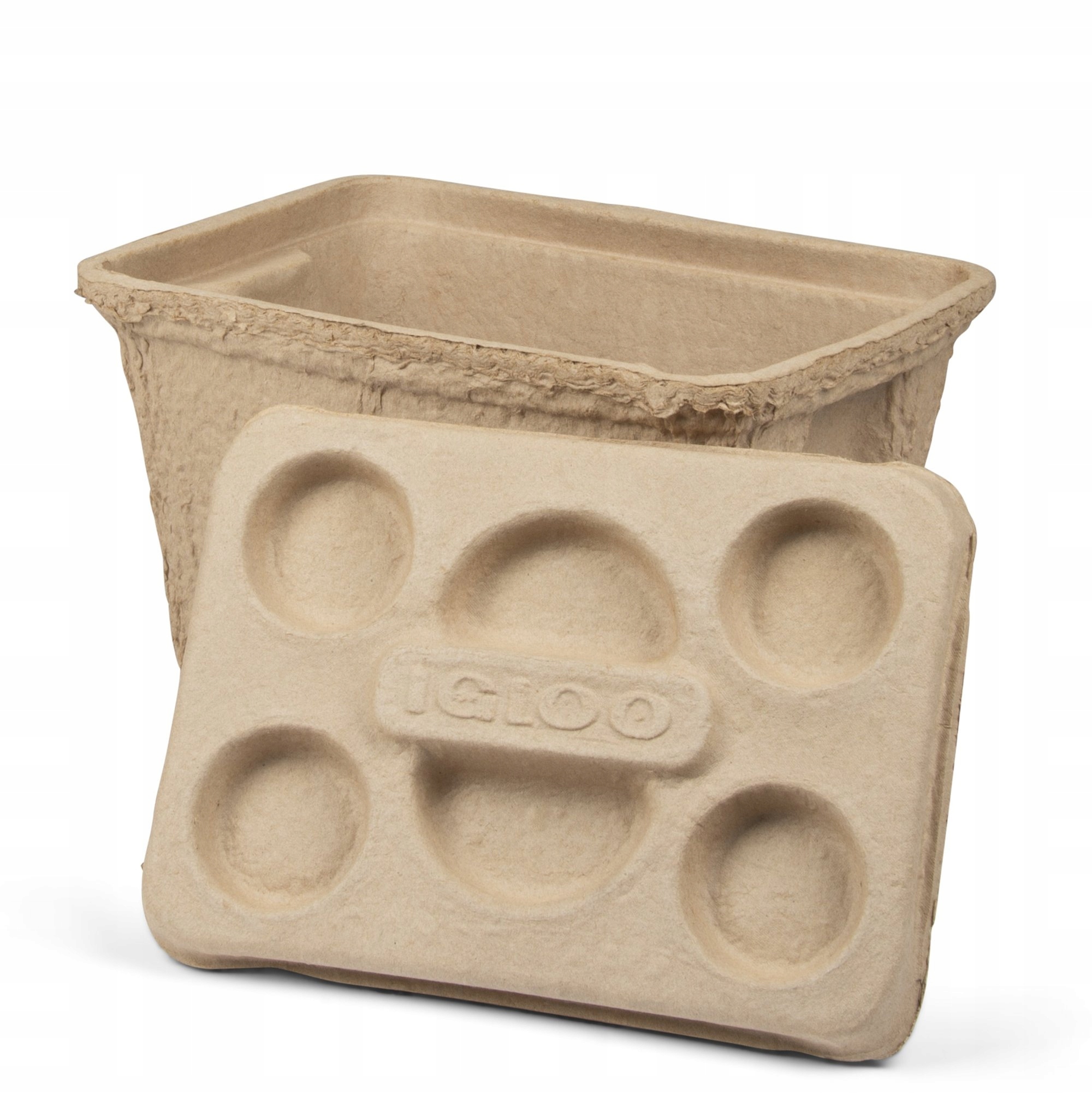 Igloo Coolers Recool Lodówka Biodegradowalna 15L