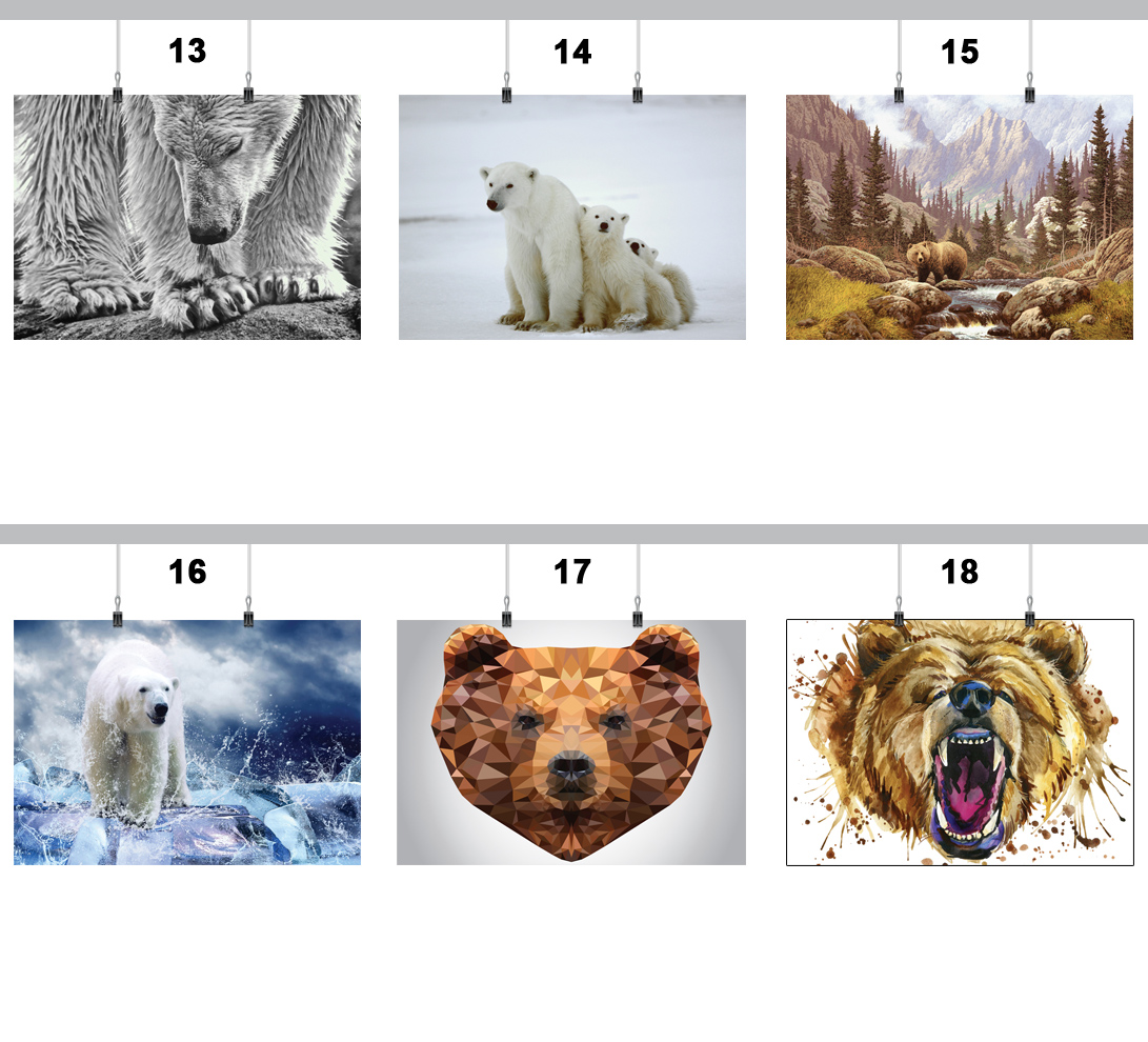 PLAKAT NIEDŹWIEDŹ MIŚ 59x42 CM 18 WZORÓW MATOWY Wysokość produktu 59 cm