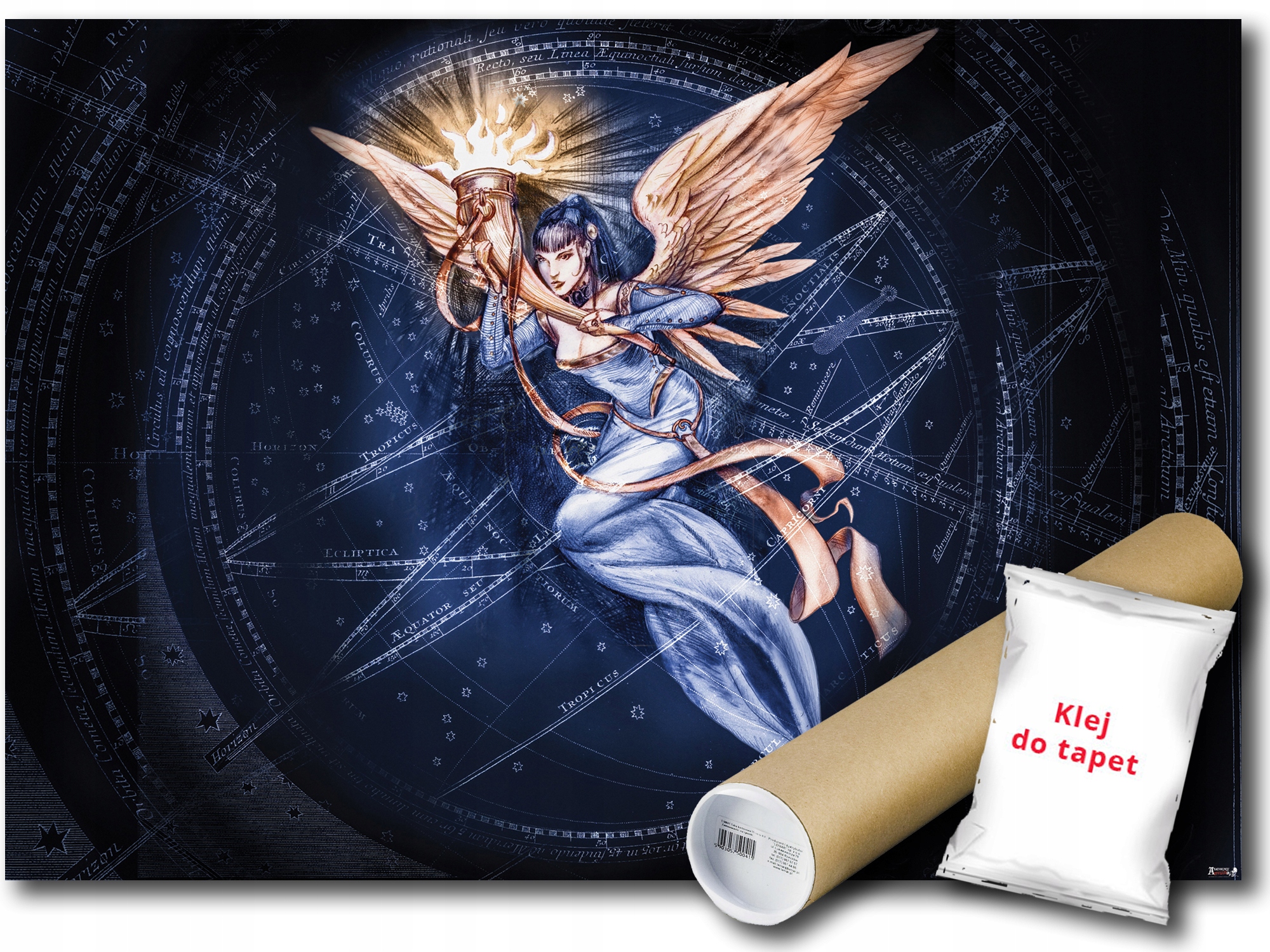 

Fototapeta Alchemy Anioł 21A Fl 152x104 F13249