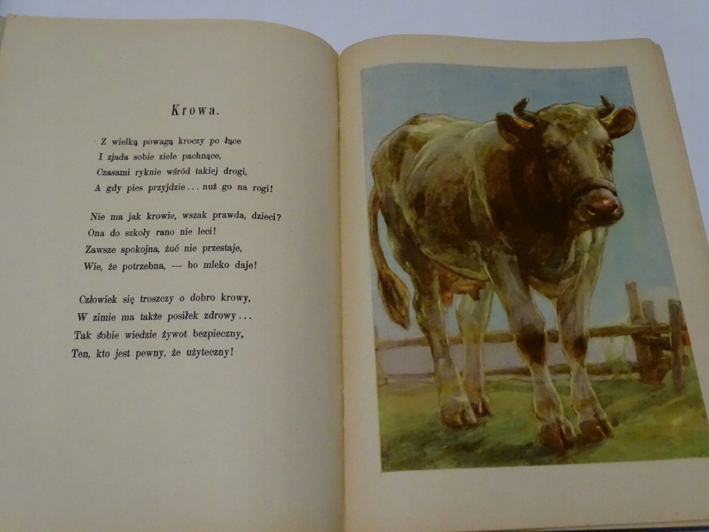 PRZYJACIELE JÓZEF BIRKENMAJER WEGNER Nośnik książka papierowa