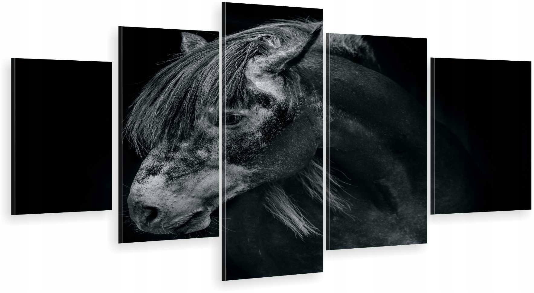 TRYPTYK 5-CZĘŚCI NA ŚCIANĘ KOŃ GŁOWA CZERŃ 800 WZ