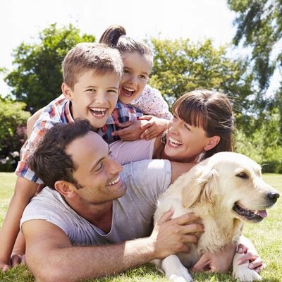 BeFrendi Żel do WC Leśna Polana 750ml Postać żel