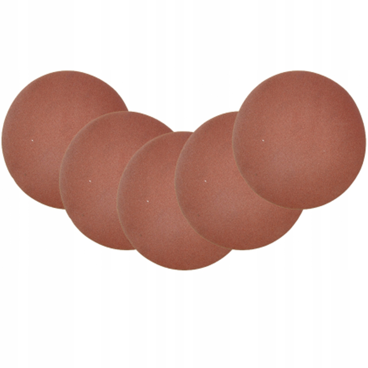 PAPIER ŚCIERNY DO GIPSU ŻYRAFY 5szt. 225mm 120p