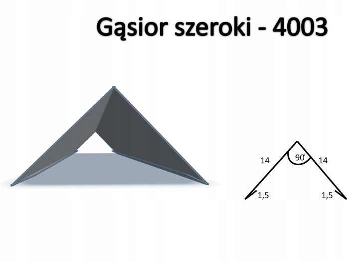 Gąsior szeroki 4003