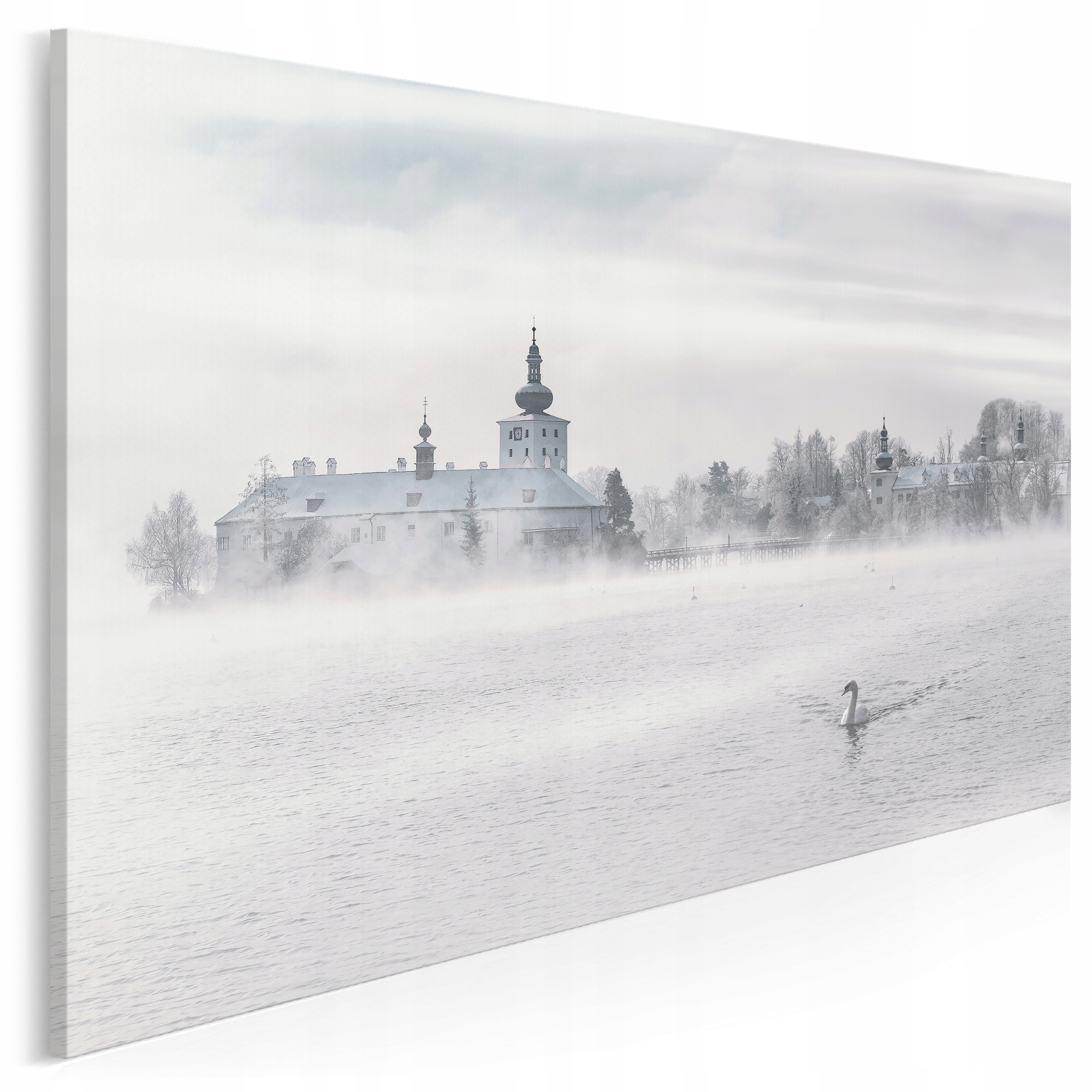 

965401 Zdjęcie na płótnie Łabędź Zamek Pejzaż