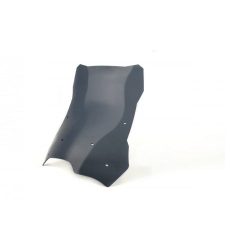 T49Y - BMW F 700 GS 2013-скло