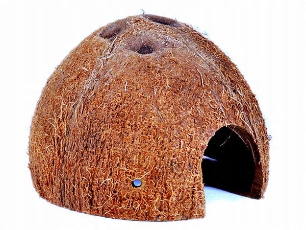 

Kokos Łupina Połówka Skorupa Ozdoba Terrarium 6SZT