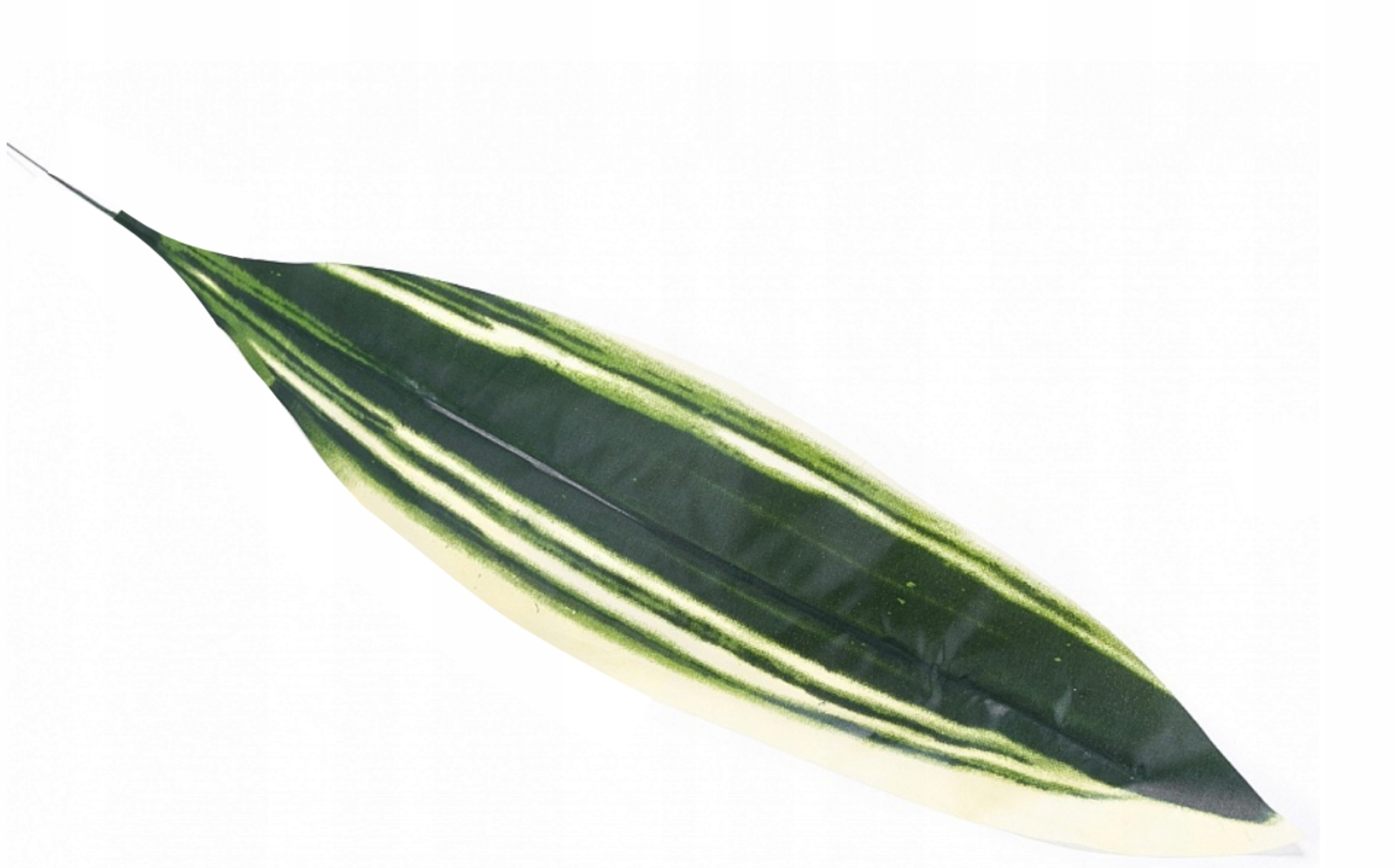 

Liść Dekoracyjny Zielono Biały Sztuczny D/M 64cm