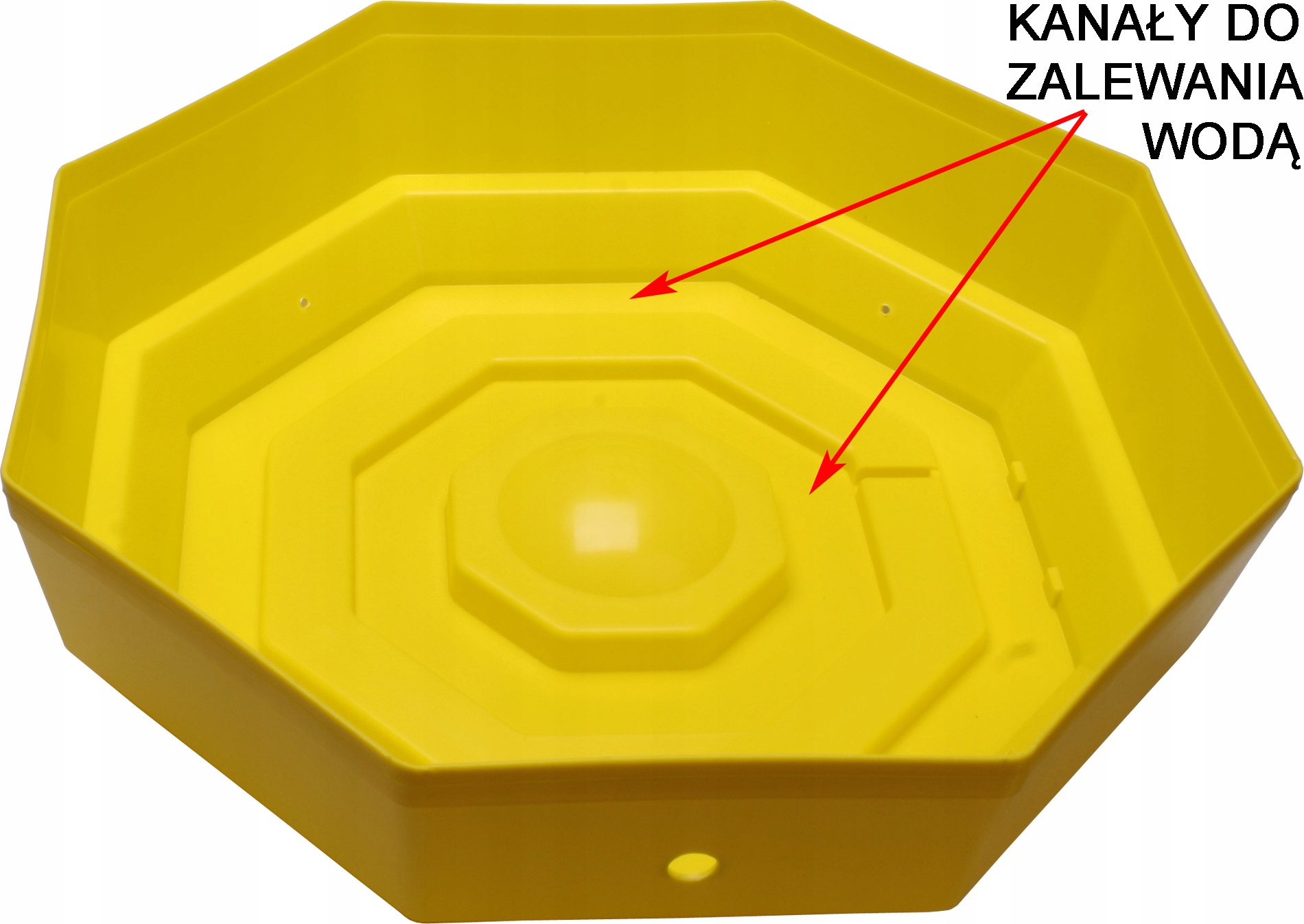 INKUBATOR WYLĘGARKA KLUJNIK 60 JAJ Cleo 5D TACA DO OBRACANIA JAJ Nazwa handlowa iBator Home 60