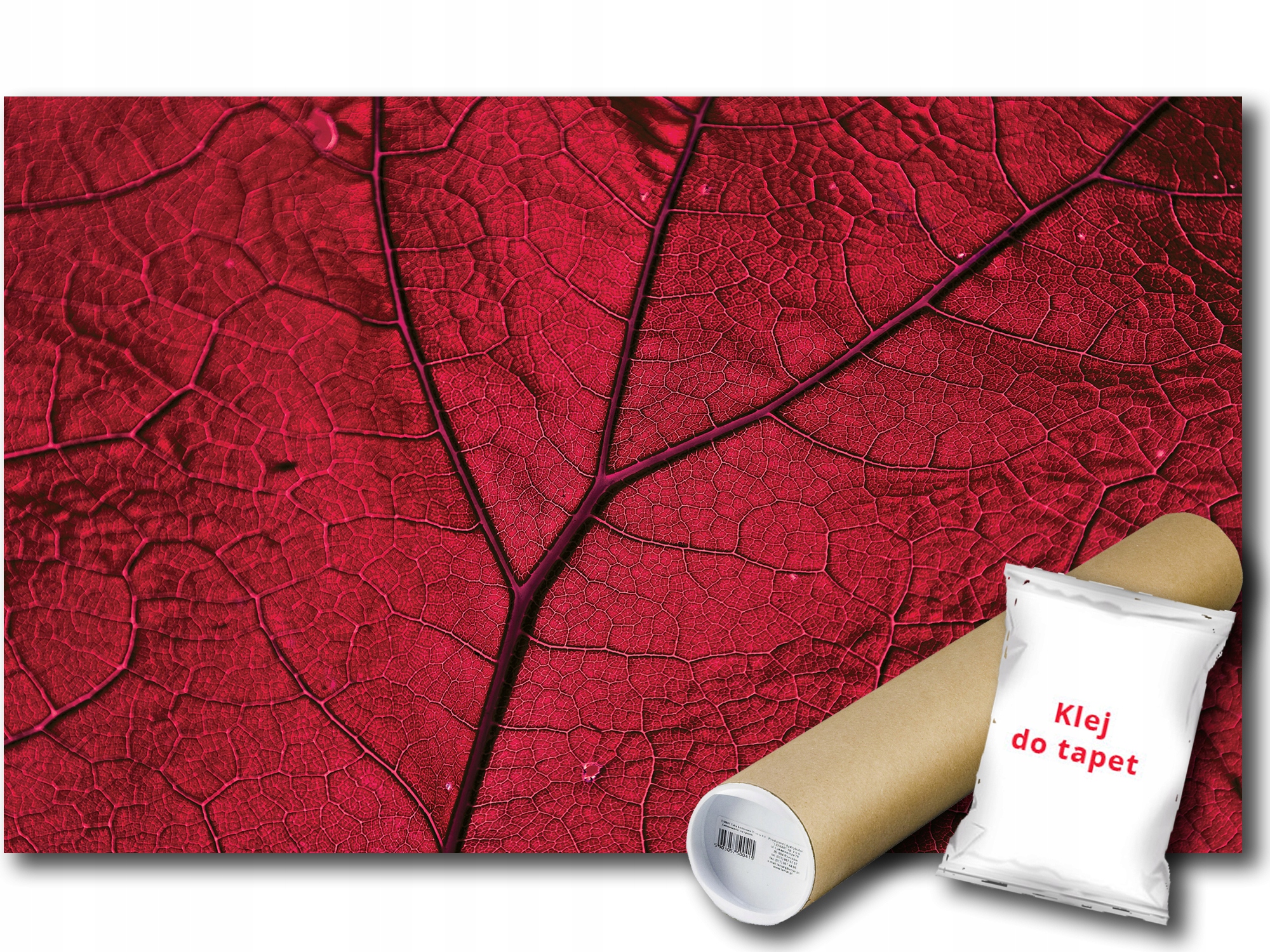 Fototapeta Makro List 9E Fxl 208x146 F13570