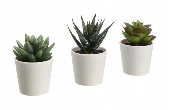 FEJKA IKEA SZTUCZNA ROŚLINA 3 doniczki/ SUKULENT