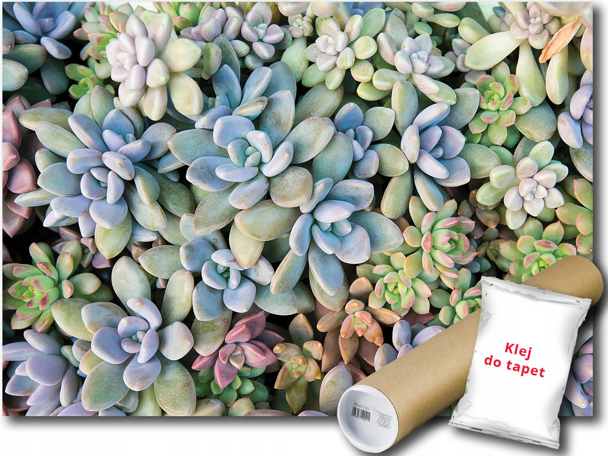 Fototapeta Rockey Rojnik 9E F3XL 416x254 F11757