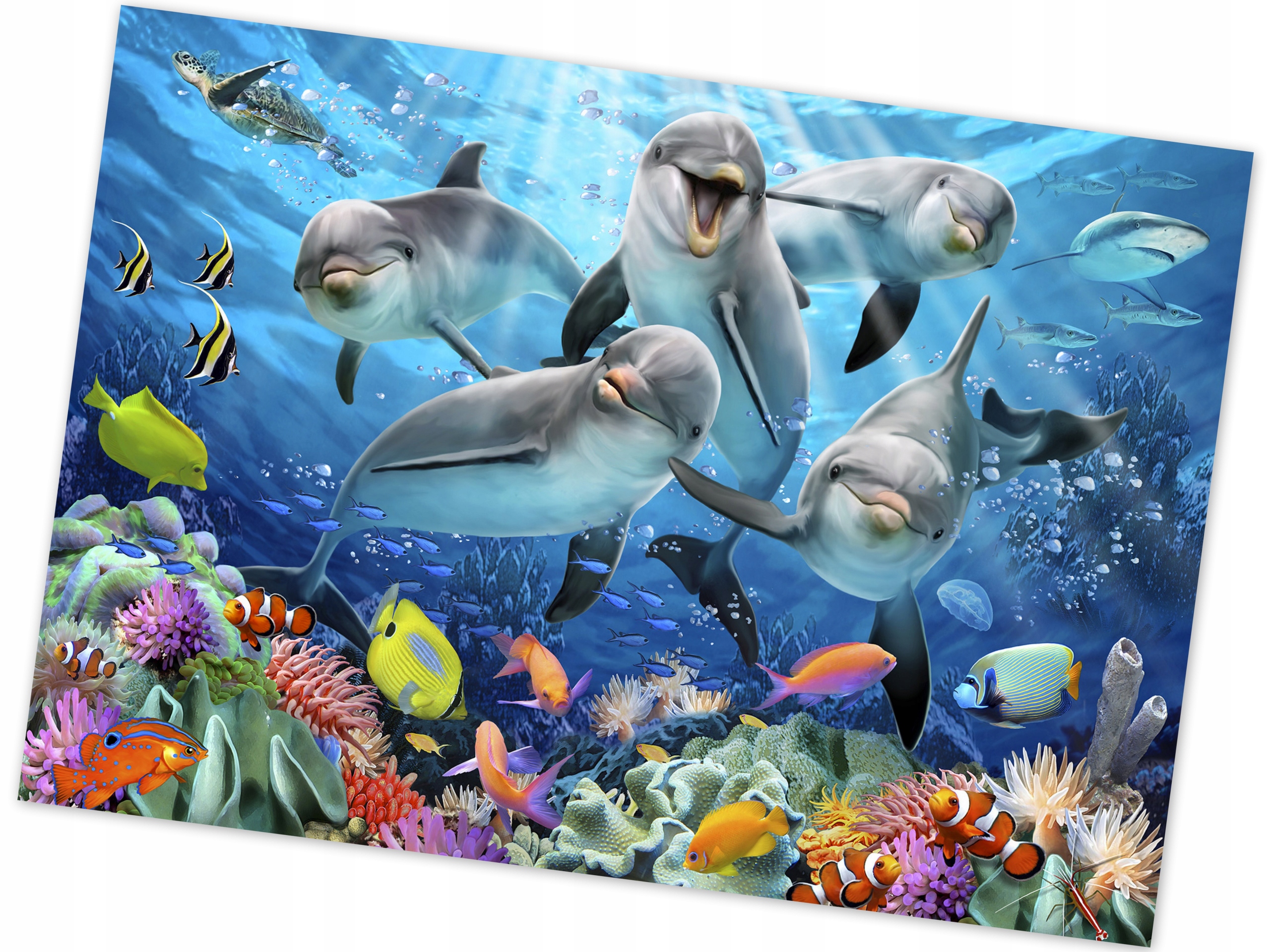 

Fototapeta Zwierzęta Delfiny 254x184 Flizelina
