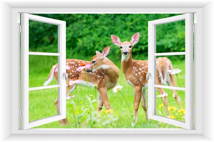 

Fototapeta Okno 3D Ogród Pergola Kwiaty 150x100