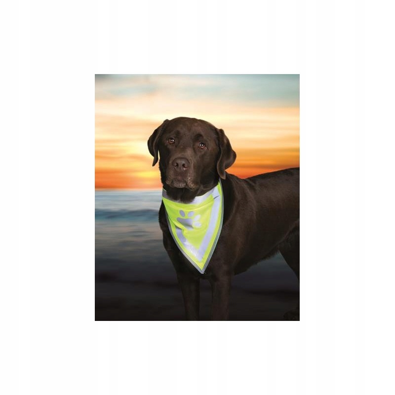 

Bandamka Odblaskowa (xs-s) 30x13cm