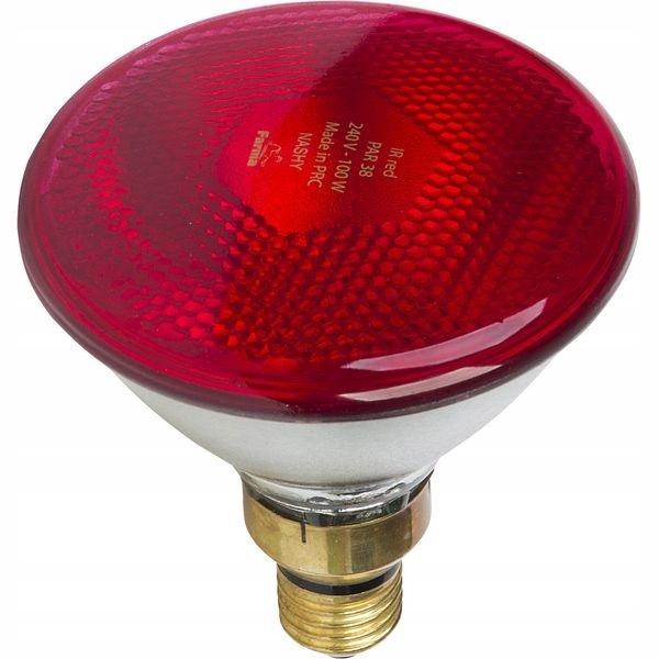 

Lampa Promiennik Par Czerwony 100W Farma Kwoka